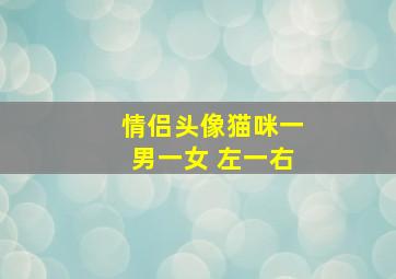 情侣头像猫咪一男一女 左一右